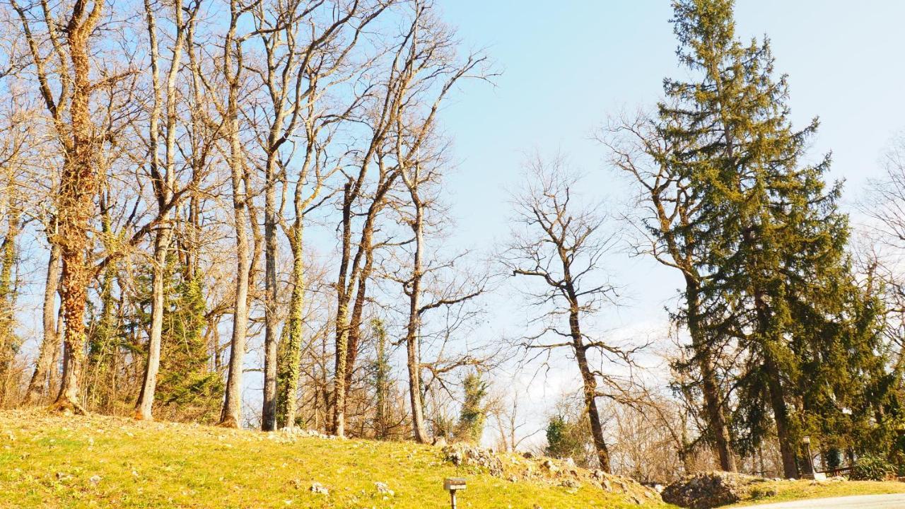 La Garenne De Morestel 외부 사진